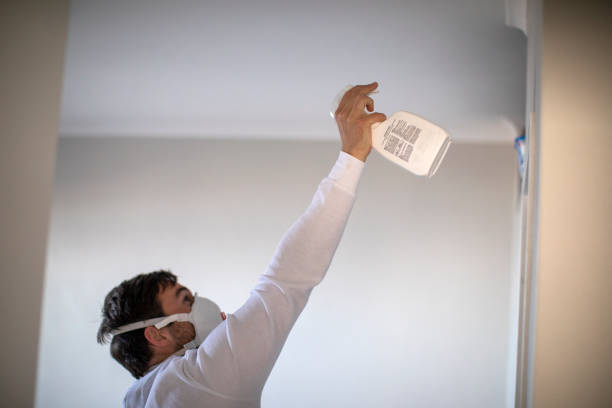 Best DIY Mold Remediation Support Services in Warren Af, WY