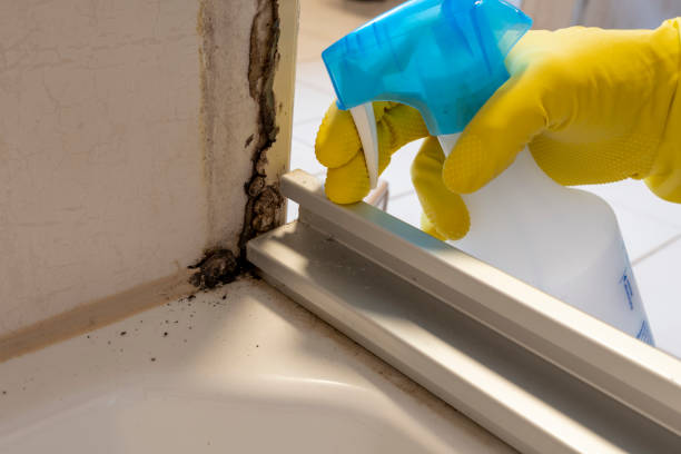Best Emergency Mold Remediation in Warren Af, WY