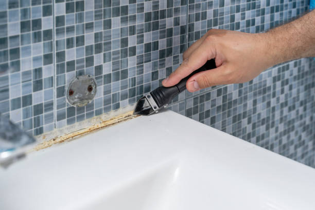 Best Preventive Mold Services in Warren Af, WY