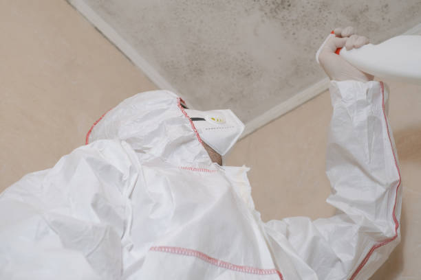 Trusted Warren Af, WY Mold Remediation Experts