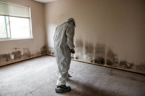Warren Af, WY Mold Remediation Company