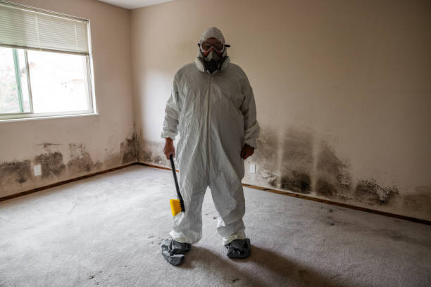 Best Mold Remediation for Schools in Warren Af, WY